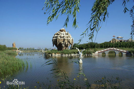 東營景色