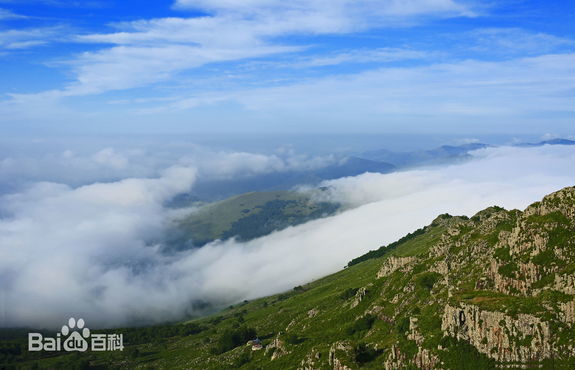 伊春景色